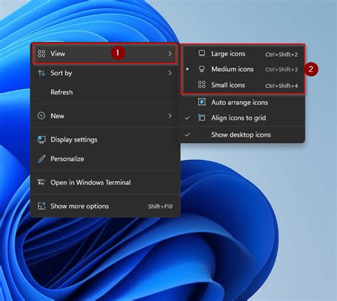 How to Show, Hide or Resize Desktop Icons in Windows 11? - The Microsoft Windows11