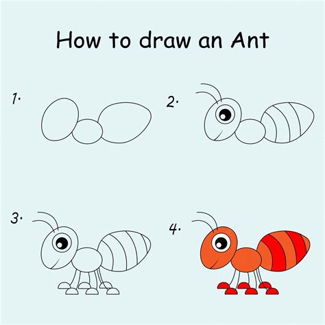 Premium Vector | Step by step to draw an ant. drawing tutorial an ant. drawing lesson for children.