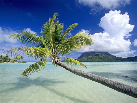 World Visits: Tropical Island Beach Wallpaper Free Review