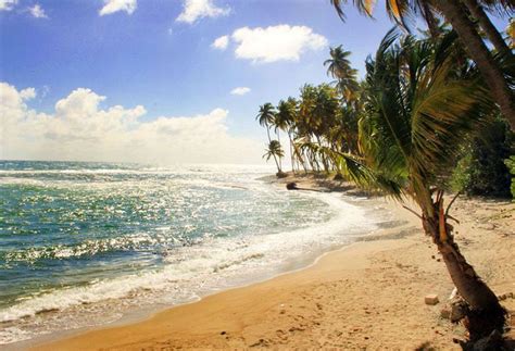 Caribe Playa Beach Resort en Patillas | Destinia