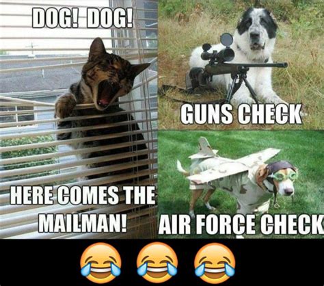 Epic, fresh mailman meme : r/terriblefacebookmemes