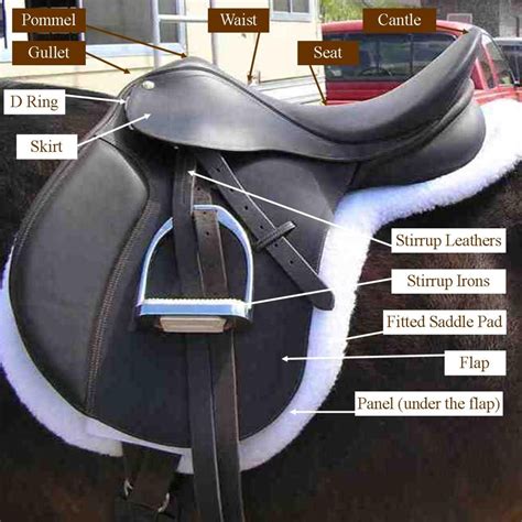 Horse Equipment and Use - White Rose Equestrian