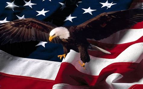 American Flag With Eagle Wallpaper (70+ images)