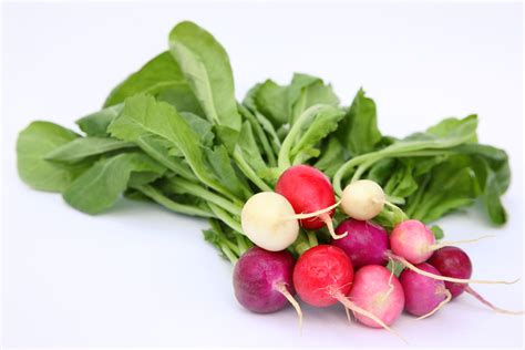 Are Radishes Low in Carbohydrates?