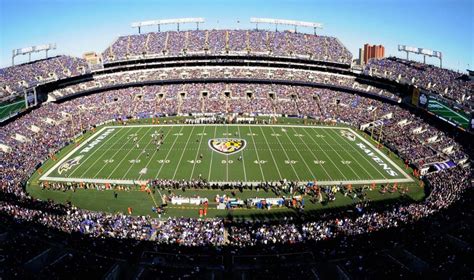 Baltimore Ravens - Stadium Dude