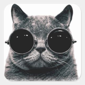 Cool Cat Stickers | Zazzle