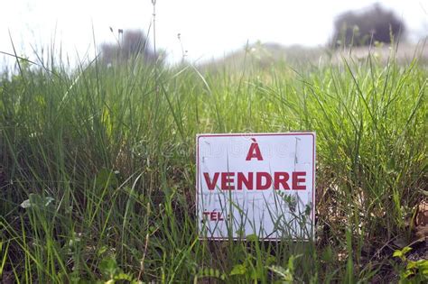 Sign Indicating that Land is for Sale Stock Image - Image of agent ...