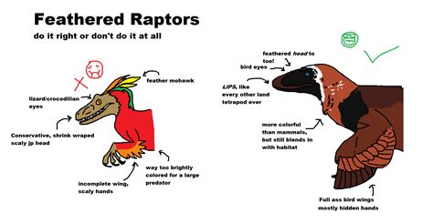 The do's and dont's of drawing feathered raptors : r/Dinosaurs