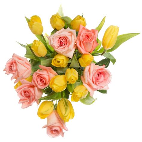 Bouquet Of Roses And Tulips Stock Image - Image of gift, objects: 52974533