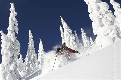 Skier Dies in Tree Well @ Whitefish, MT - SnowBrains