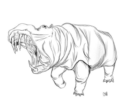 Hippo Sketch by MagnoliaMonster on DeviantArt