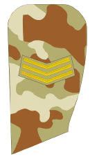 Sudan Sudanese Army ranks land ground forces combat field uniforms military equipment grades UK ...