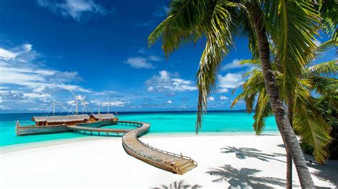 Which Maldives Island? | The Best Islands In The Maldives 2021 | Kuoni