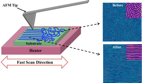 Orientation Control and Crystallization in a Soft Confined Phase Separated Block Copolymer ...