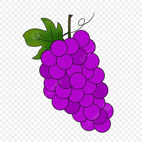 Grape Picking Clipart Transparent Background, Picking Grapes Clipart ...