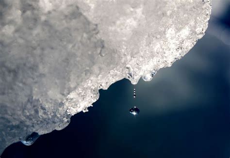 Melting Arctic ice will have catastrophic effects on the world, experts ...