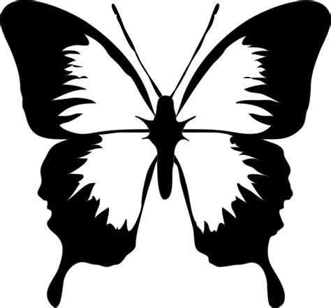 Free Butterfly Images Black And White, Download Free Butterfly Images Black And White png images ...