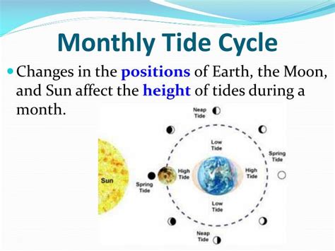 PPT - Tides: PowerPoint Presentation - ID:5239100