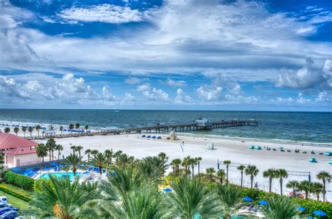 5 Pet Friendly Places to Stay in Clearwater Beach, Florida - Family with Latitude