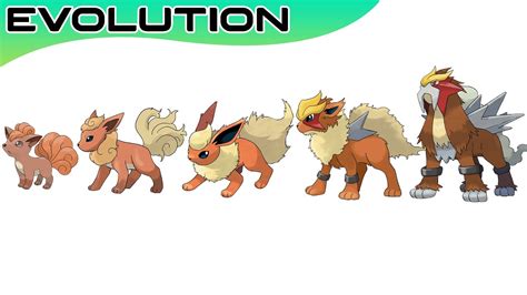 All Pokemon Evolutions Chart