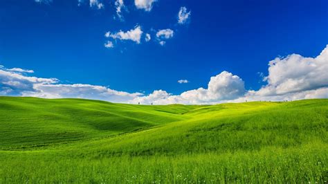 Grass And Sky Wallpapers - Wallpaper Cave