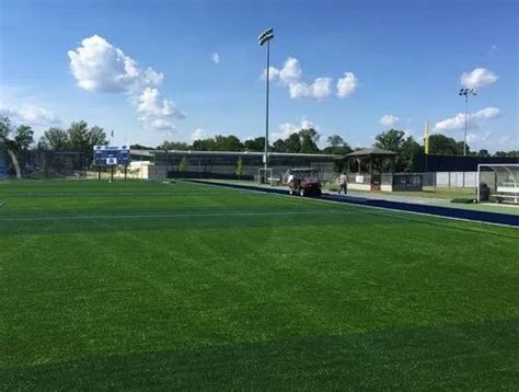 Football Ground Turf - Football Ground Flooring Grass Manufacturer from ...