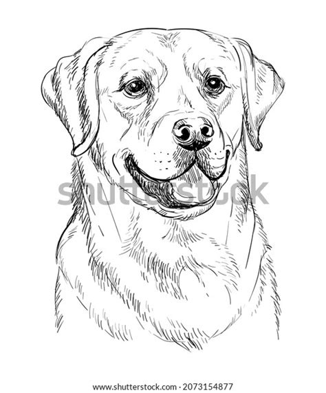 19,724 Pencil Sketch Dog Images, Stock Photos, 3D objects, & Vectors ...