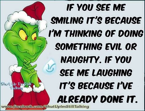 Funny Grinch Christmas Quote Pictures, Photos, and Images for Facebook, Tumblr, Pinterest, and ...