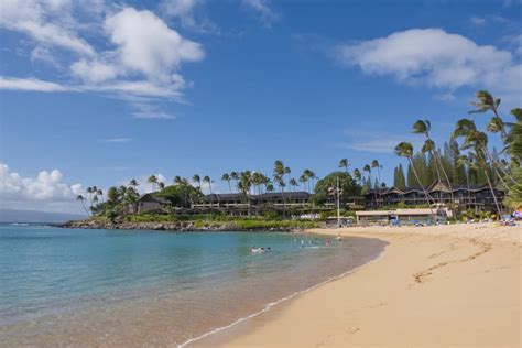 Napili Bay Snorkeling Guide - Maui Hideaway