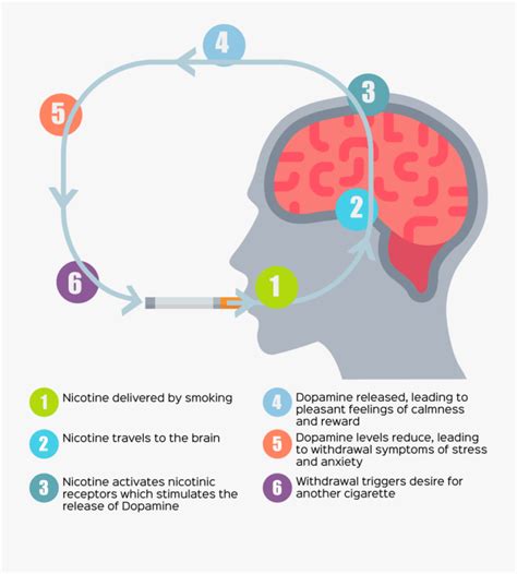 Nicotine Withdrawal Symptoms Graphic , Free Transparent Clipart - ClipartKey