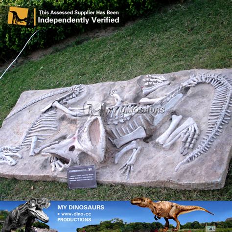 Dinosaur Fossil Excavation Buried Dinosaur Skeletons