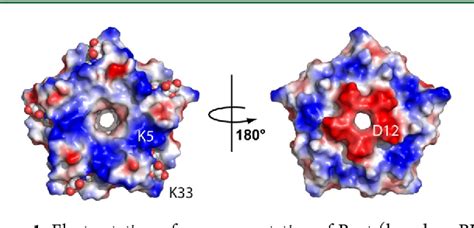 Figure 1 from Multivalent Calixarene Complexation of a Designed Pentameric Lectin | Semantic Scholar