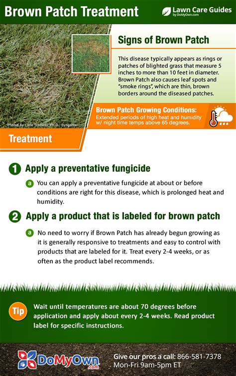 Brown Patch Treatment Guide - How To Get Rid Of Brown Patch Fungus Disease