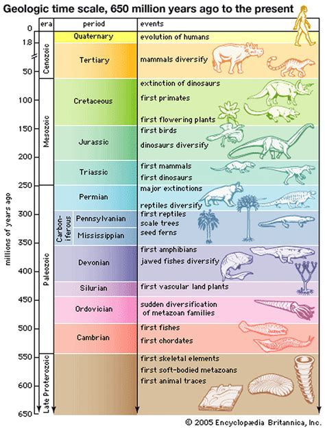 Image result for geologic time scale with organisms and events | Geologic time scale, Geology ...