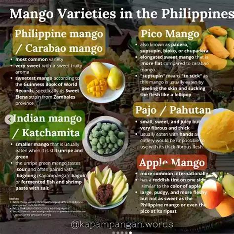 Mango Varieties In The Philippines - The Philippines Today