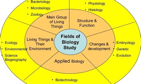 Scope of biology - Online Science Notes