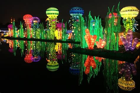 Dubai Garden Glow with kids