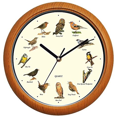 12 Inch Wall Clock Singing Bird Battery Powered Beautiful Songs Sound Melody | eBay