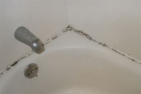 Can You Paint Over Black Mold In Bathroom Sink – Artcomcrea