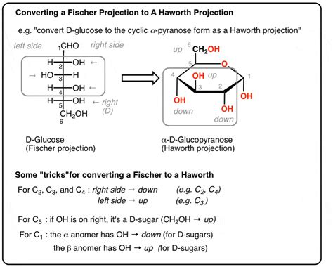 L Glucose Fischer Projection