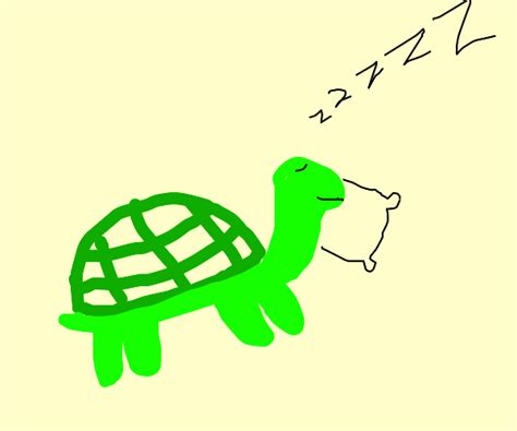 Turtle Sleeping - Drawception