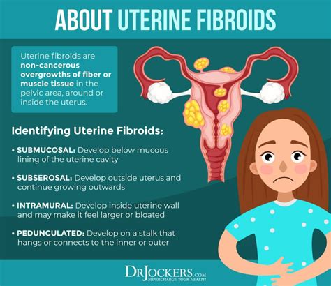 Small Fibroid In Uterus Presentation