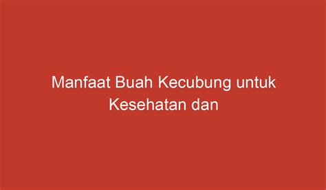 Manfaat Buah Kecubung untuk Kesehatan dan Kecantikan