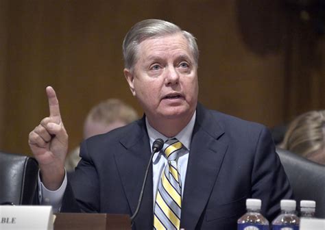 Lindsey Graham Biography, Like, Weight, Height, Birthdate & Other ...