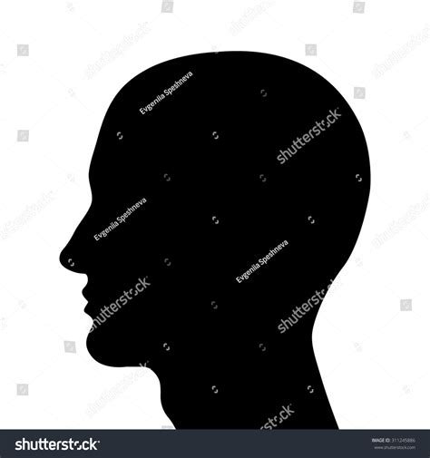 Head Silhouette Profile Vector Illustration Stock Vector (Royalty Free) 311245886 | Shutterstock