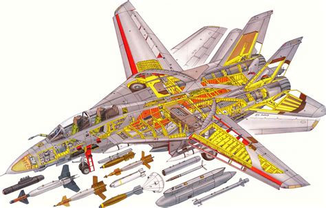 Grumman F-14 Tomcat Cutaway Drawing in High quality