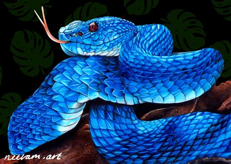 ArtStation - Blue Snake