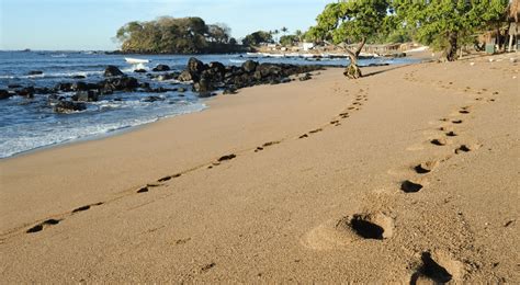 What Are the Most Beautiful Beaches in El Salvador?