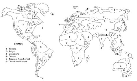 World Biome Map Coloring Worksheet