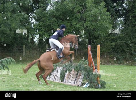 Show jumping rider contestant Stock Photo - Alamy